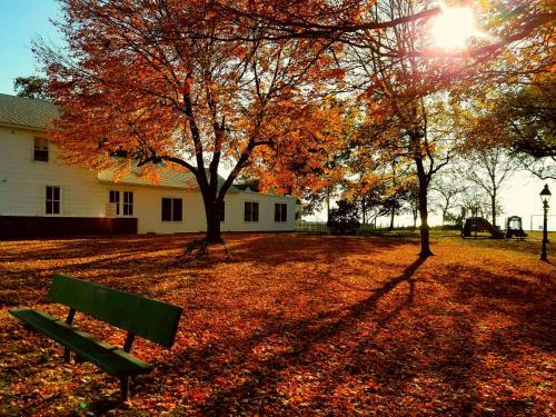 Bed & Breakfast Sandaway Waterfront Lodging