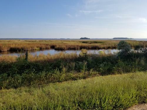 Bed & Breakfast Sandaway Waterfront Lodging