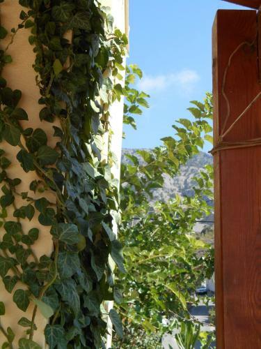 Hostal ?enonas Kourites