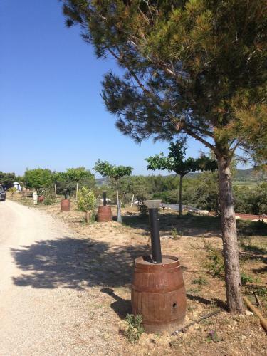 Camping Mer Et Camargue