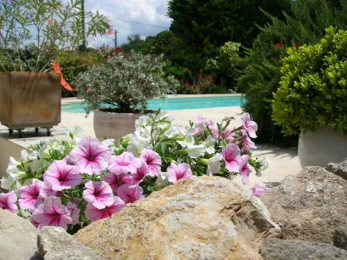 Bed & Breakfast Mas Calbret