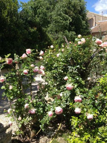 Bed & Breakfast Mas Calbret