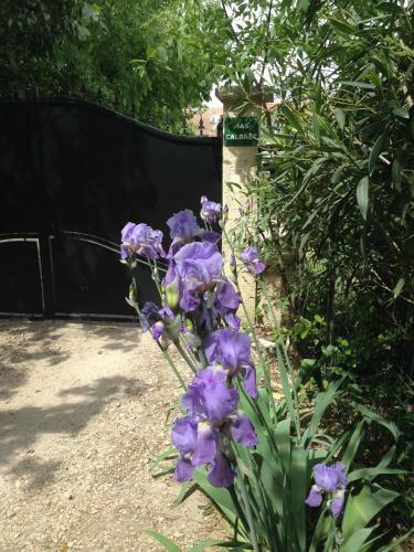 Bed & Breakfast Mas Calbret