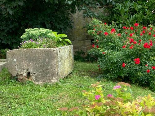 Maison Alsacienne Typique Gite Weiss