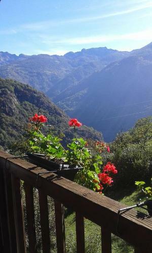 B&B Marcellina