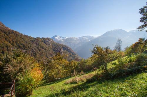 B&B Marcellina