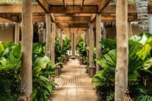 Vidanta Resort Estates