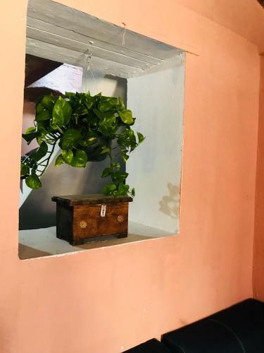 Hostal Hospedaje Bugambilias En Polleros