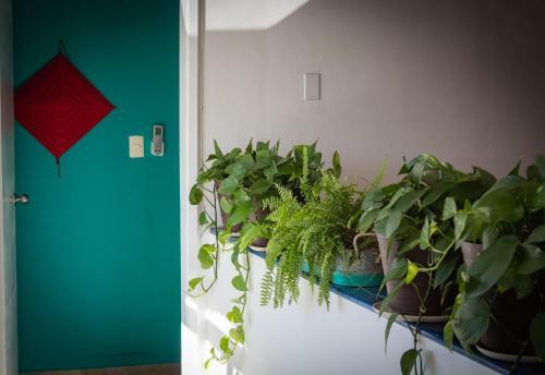 Apartamento Dive Inn