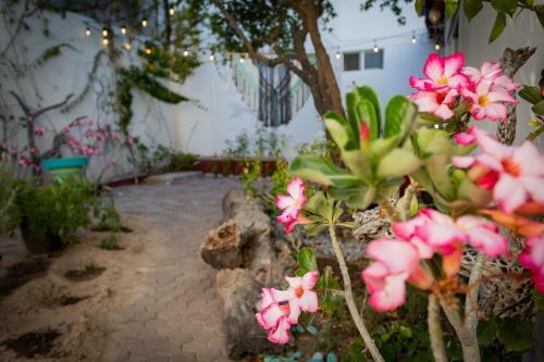Apartamento Dive Inn