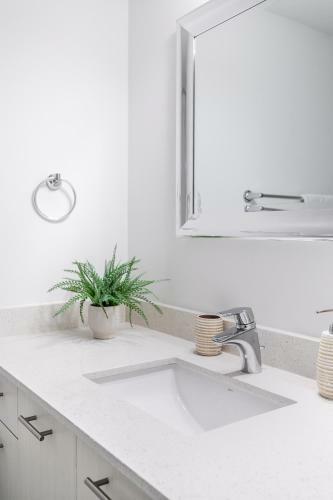Downtown Hamilton Apartments By Simply Comfort
