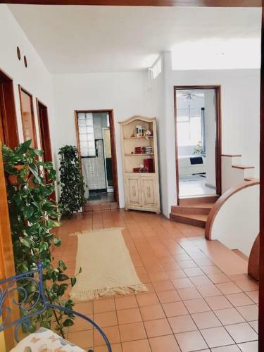 Apartamento Casa Chapultepec / Top Floor (planta Alta) Col. Americana