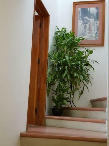 Apartamento Casa Chapultepec / Top Floor (planta Alta) Col. Americana