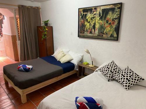 Casa Azul Americana