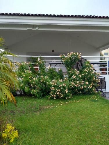 Pizarra House Residensial V