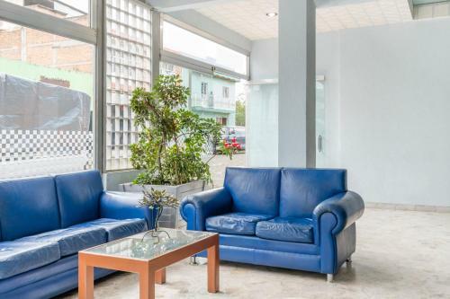 Oyo Hotel Platinium Gran Hotel