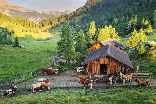 Agroturismo Pension Walchauhof