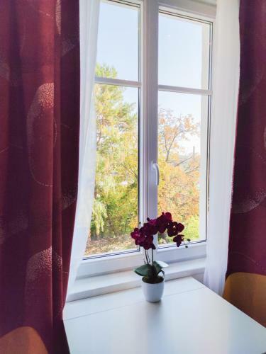 Apartamento Intimate Studios Hadersdorf