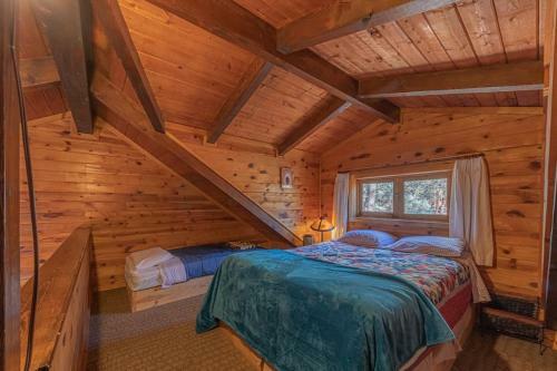 Forest Cabin 3 Bear's Den