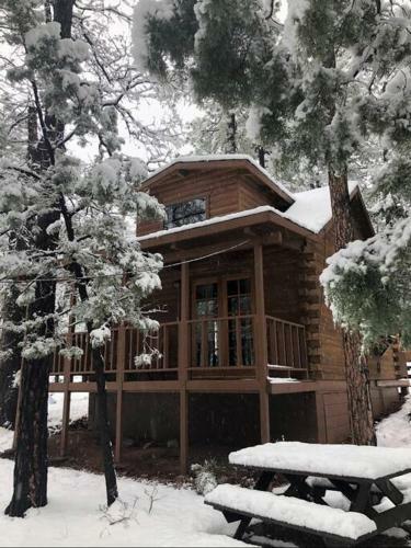 Forest Cabin 2 Birds Nest
