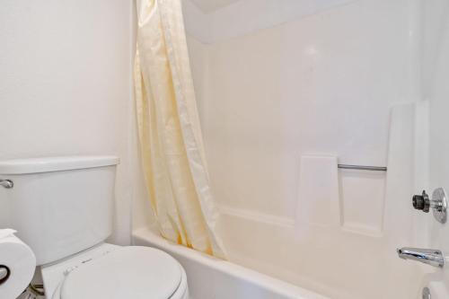 Staygia -modern Newly Renovated 1br Apartment-pool