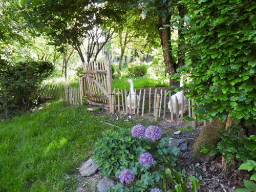 Hostal Maison D'h�tes Le Charme Du Champs Claire
