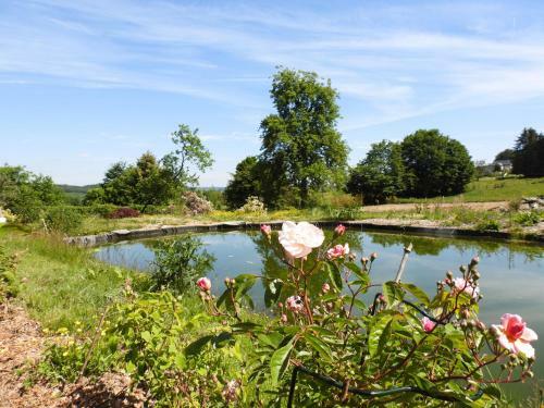 Hostal Maison D'h�tes Le Charme Du Champs Claire