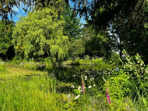 Hostal Maison D'h�tes Le Charme Du Champs Claire