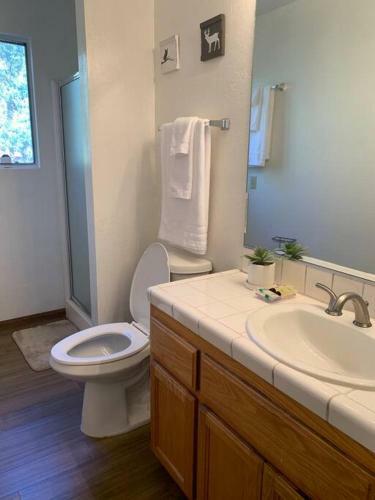 Mt Shasta Cabin Retreat