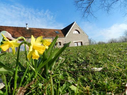 Logies Zonnebloem
