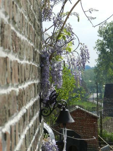 Logies Zonnebloem