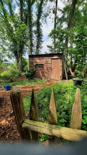 Glamping Zonnebloem - Back-to-nature