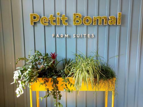 Hostal Petit-bomal Farm Suites