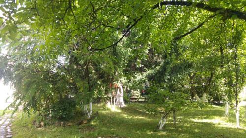 Apartamento Green Garden