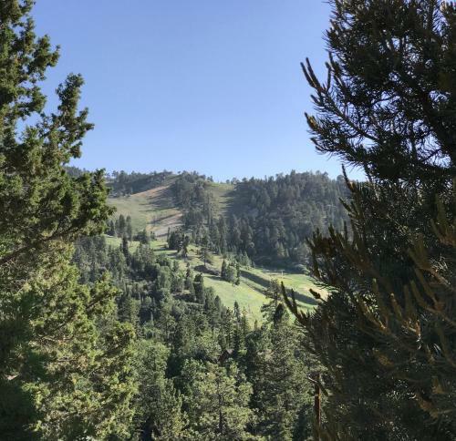Top Of The Mountain