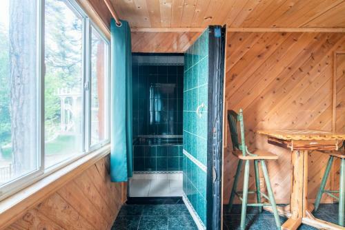 46 - Cove Cabin Cabin