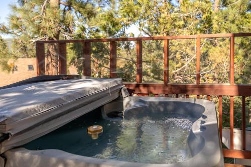 07 - Big Bear Bird's Eye View Home