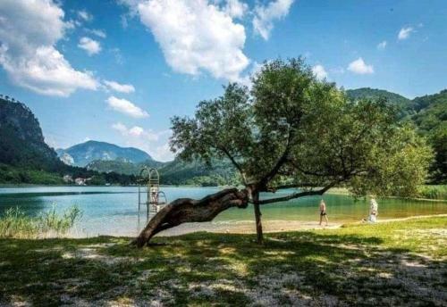 Bora?ko Jezero