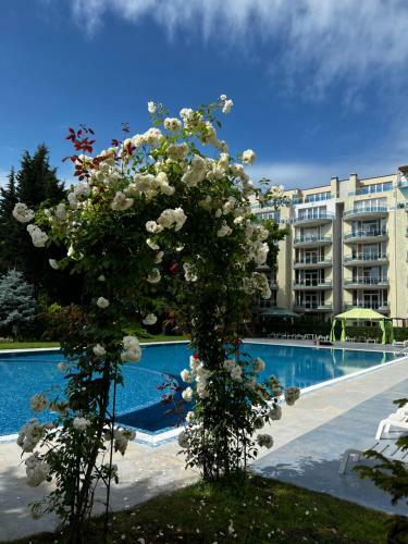 High-end Beachfront Apartment With Pool