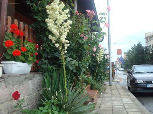 Lazur Hotel