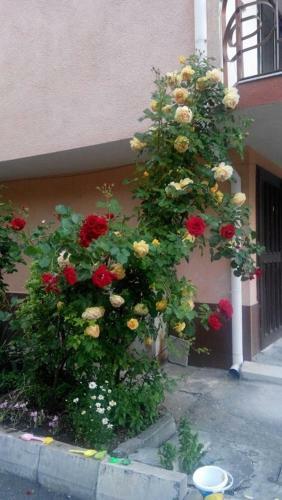 Lazur Hotel