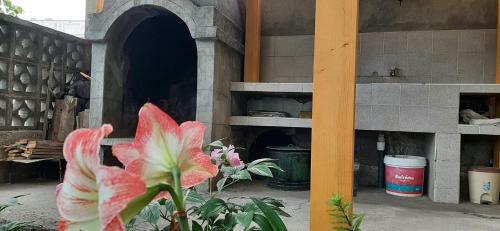 Apartamento Family House Primorsko