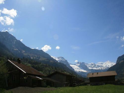 Apartment Chalet Bifigen