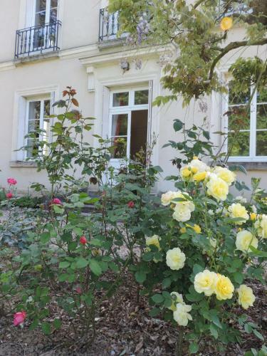 Bed & Breakfast C�dre Et Charme