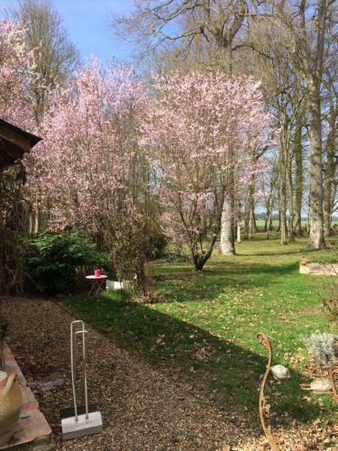 Bed & Breakfast Logis De La Paqueraie