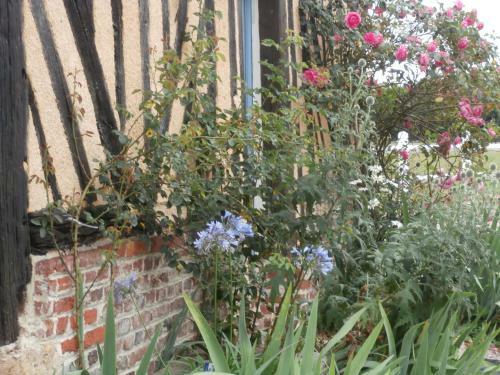 Bed & Breakfast Aux Pommiers De Livaye