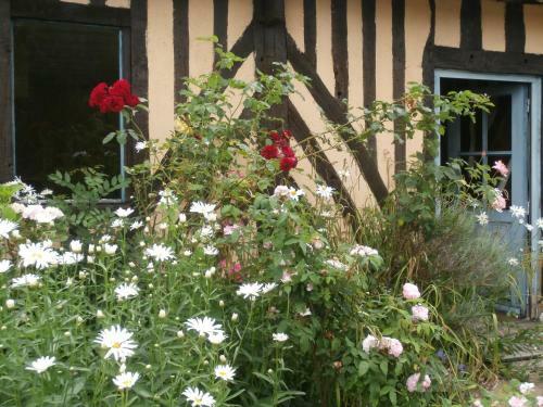 Bed & Breakfast Aux Pommiers De Livaye