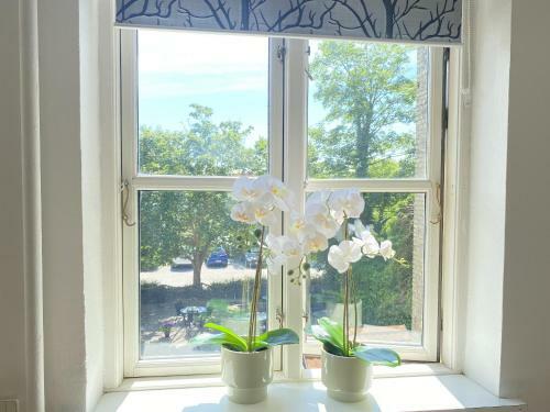 Aday - Nakskov Bright And Beautiful Apartment