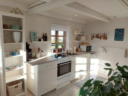 Apartamento Ferienwohnung Stjerneskud