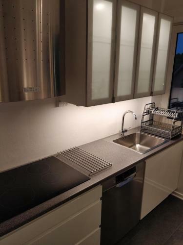 Home Apartment- Havnegade